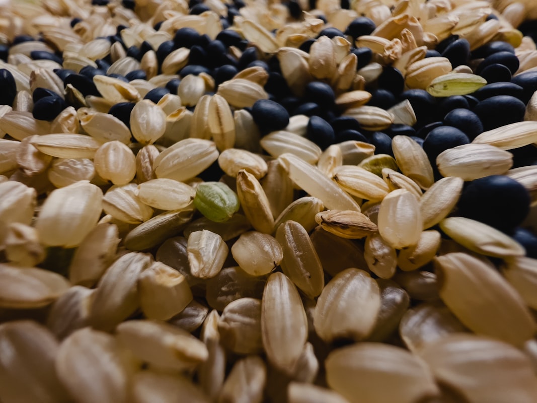 Biji-bijian dan kacang-kacangan