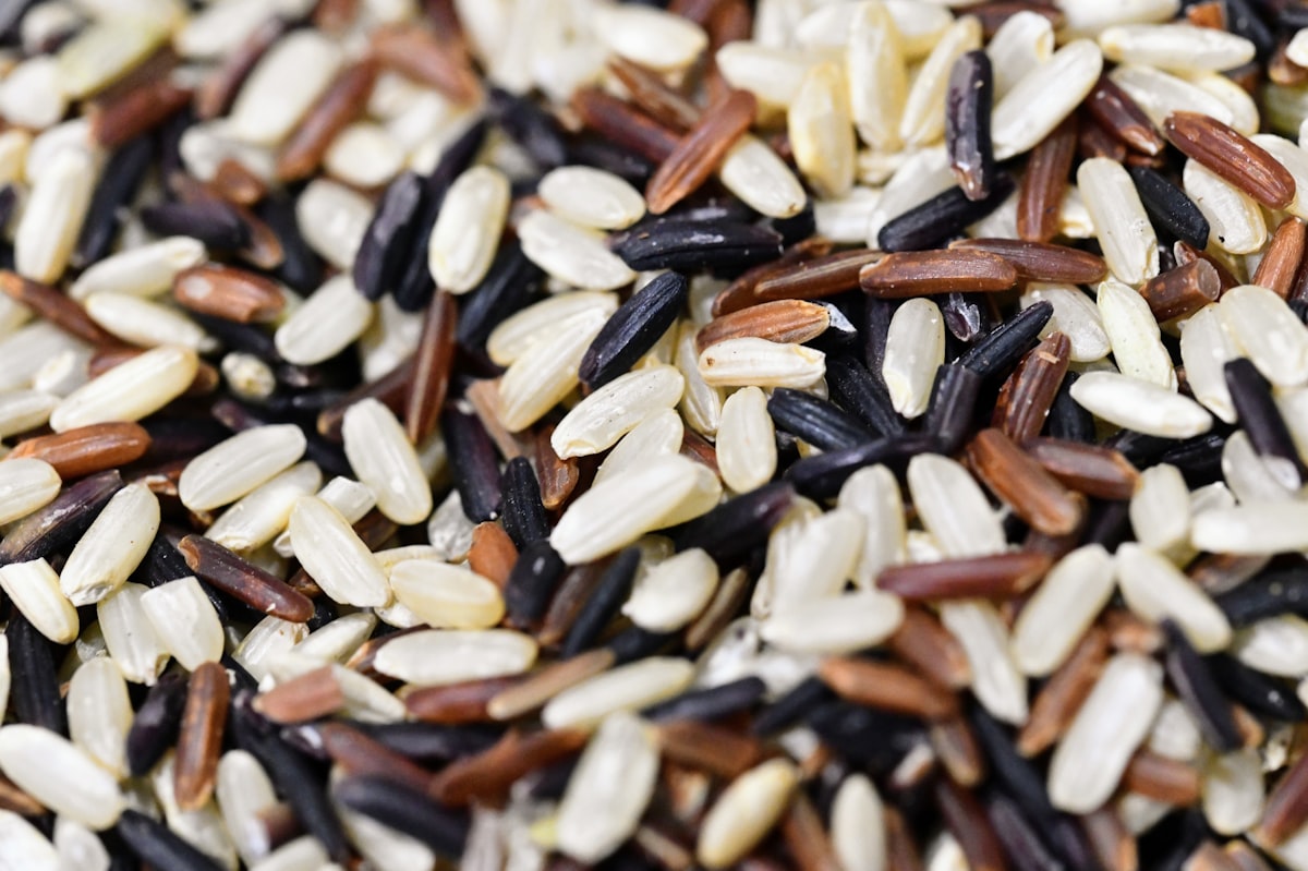 Produk fermentasi dan whole grains